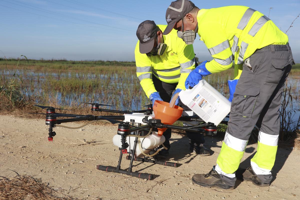 Un dron interviene en la campaña para el tratamiento contra los mosquitos que propagan el Virus del Nilo Occidental (VNO) sobre un arrozal. A 13 de agosto de 2024, en La Puebla del Río, Sevilla (Andalucía, España). La campaña para el control y tratamientos contra los mosquitos que propagan el virus del Nilo Occidental (VNO) se ha reforzado con drones y otros medios en varios municipios sevillanos. Este virus ha provocado hasta el momento el fallecimiento de tres personas en la provincia. 13 AGOSTO 2024 Rocío Ruz / Europa Press 13/08/2024 / Rocío Ruz