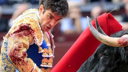 José Tomás toreará en la Feria de Hogueras de Alicante - Información