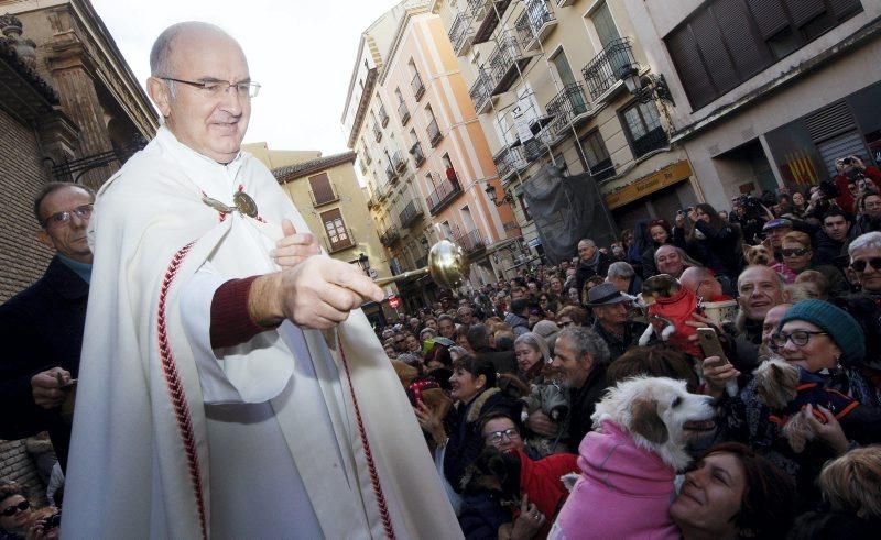 Celebración de San Antón, bendición de los animales