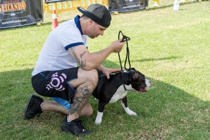 II Feria de Mascotas en Maspalomas