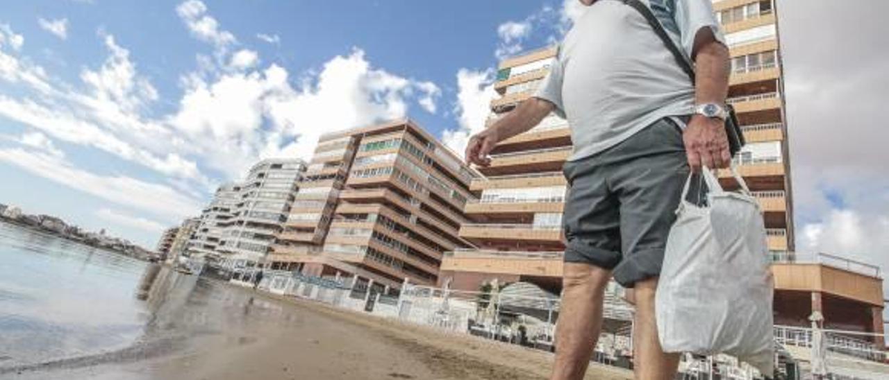 El cangrejo azul invasor coloniza la bahía de Torrevieja y la playa del Acequión