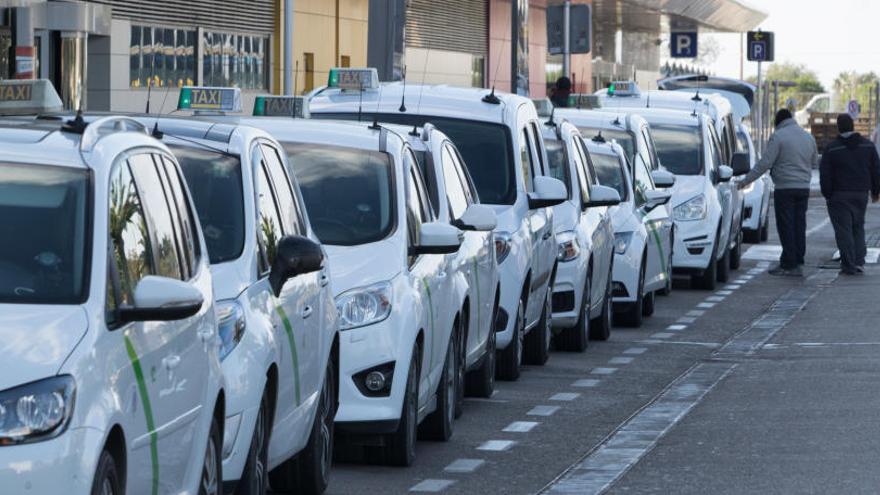 Sant Josep tendrá 23 taxis estacionales más esta temporada