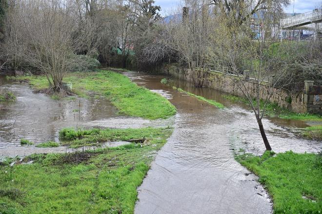 Fotogalería | Paseos del río inundados en Plasencia
