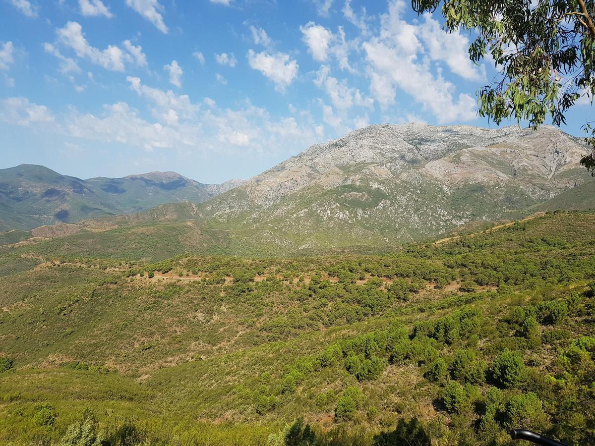 Una panorámica de la Sierra de las Nieves con el pico de la Torrecilla desde el carril del Chaprarral, en Tolox