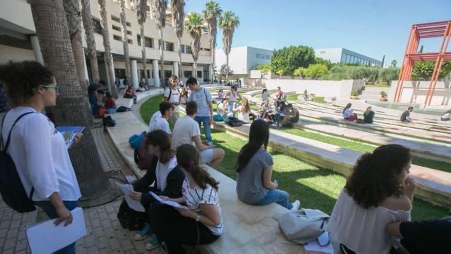 Estudiantes en las inmediaciones del aulario II de la Universidad de Alicante, uno de los espacios que más universitarios concentra a lo largo de la jornada.