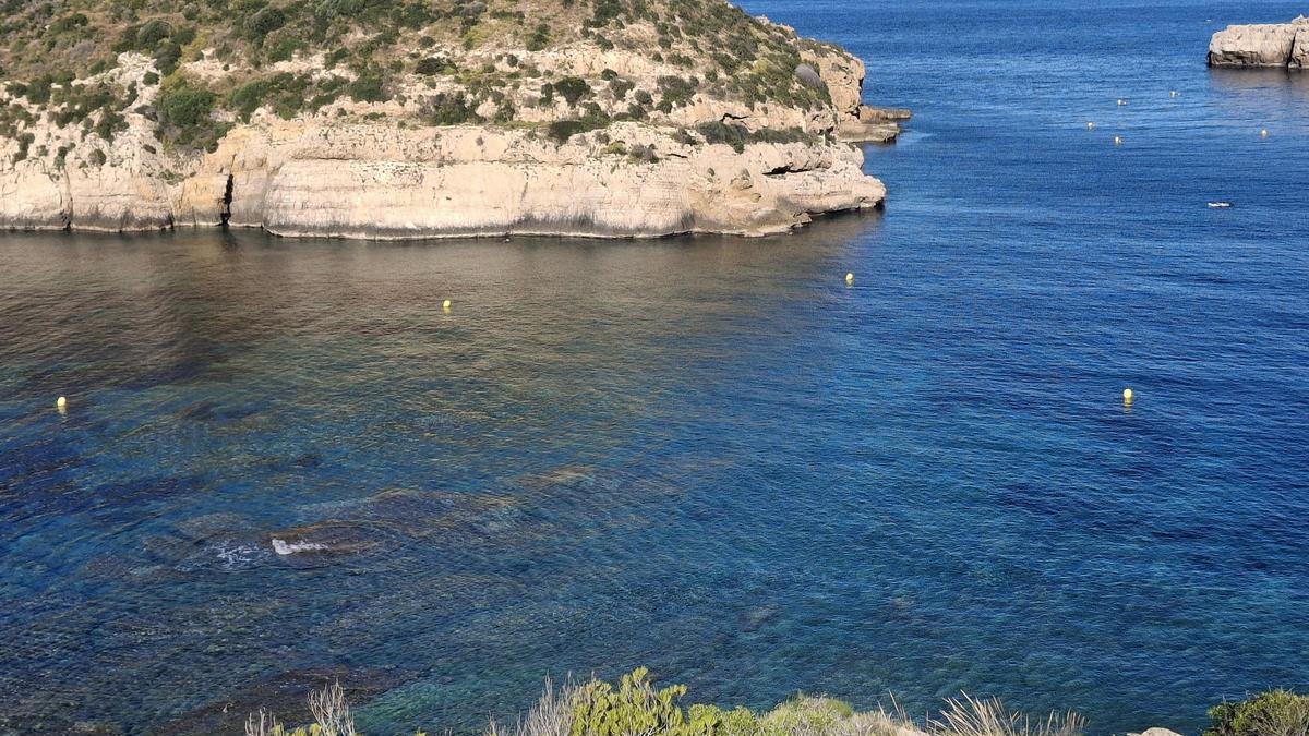 Las dos líneas de boyas amarillas entre la costa y l'Illa del Portitxol