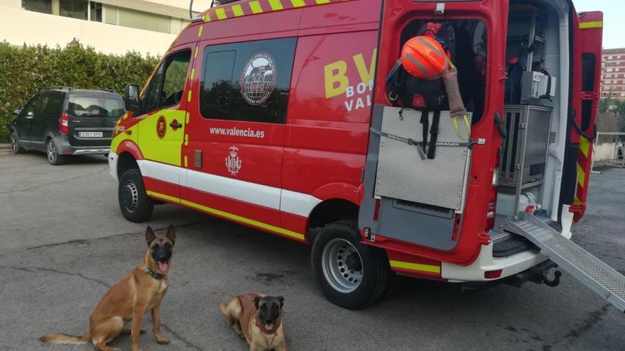 Dos de los canes participantes en el operativo.