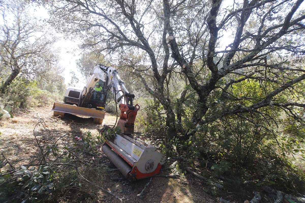 Comienzan las obras del cinturón verde en el entorno de Las Ermitas