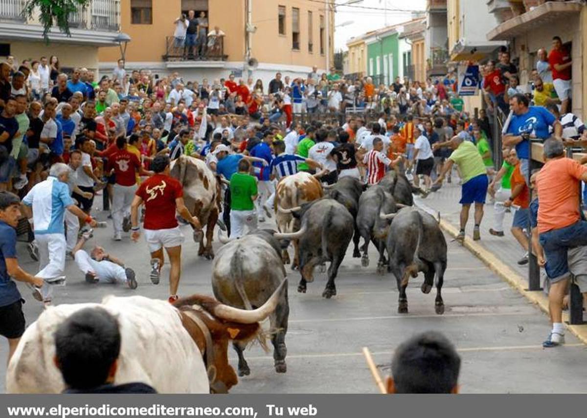 GALERÍA DE FOTOS -- Encierro de vértigo en la Vall d’Uixó GALERÍA DE FOTOS -- Encierro de vértigo en la Vall d’Uixó