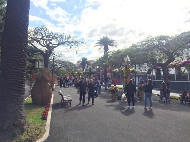 Concurso de Cruces de Flores Naturales