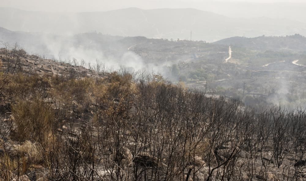 Incendios en Galicia | Desvastación del fuego en Monterrei