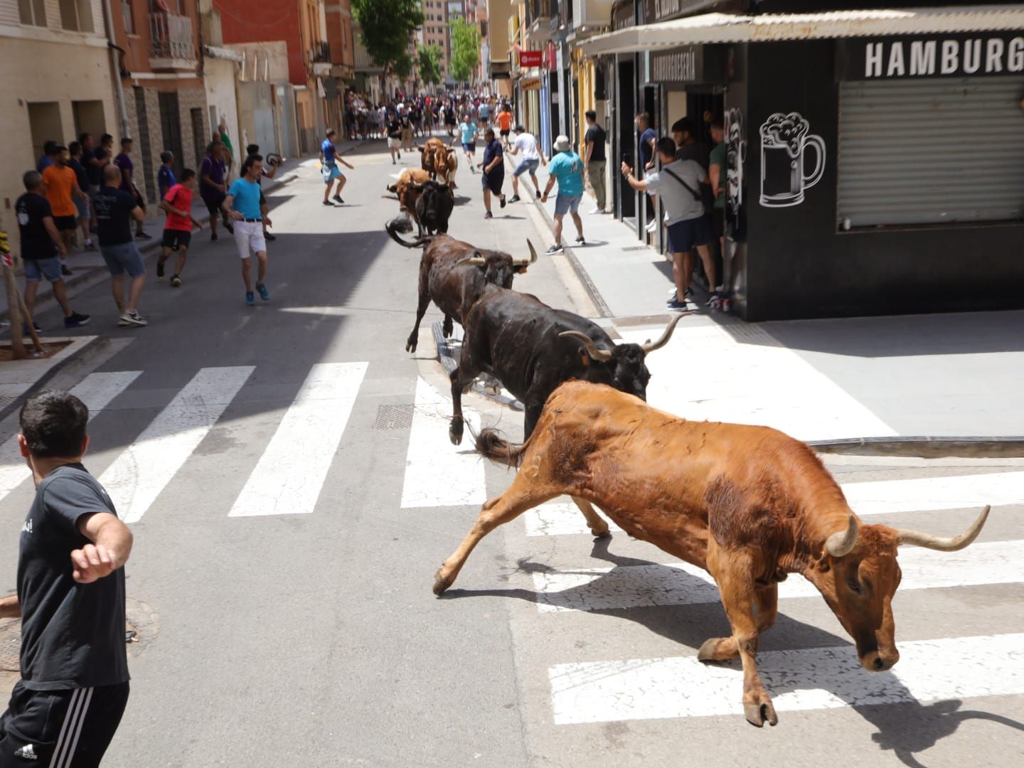 El Grau da inicio a las fiestas de Sant Pere con pólvora, bous y música