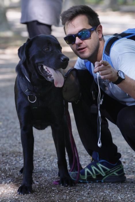 I Marxa Solidària Canina de Diari de Girona