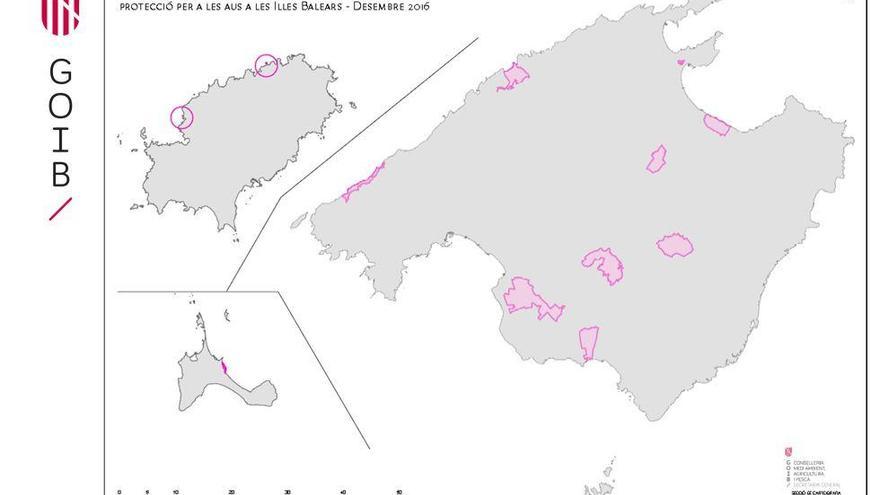 Mönchsgeier, Rohrweihen und Rotfußfalken bekommen mehr Platz auf Mallorca