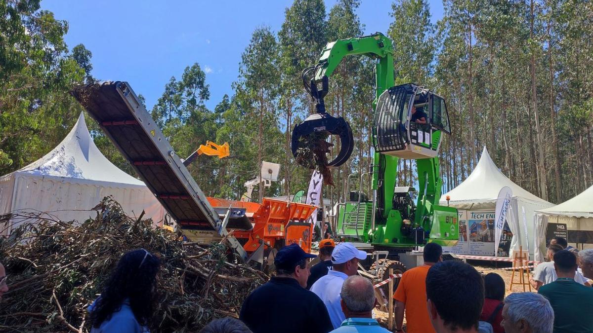 Varias personas, ayer, contemplan una demostración de maquinaria en Galiforest.