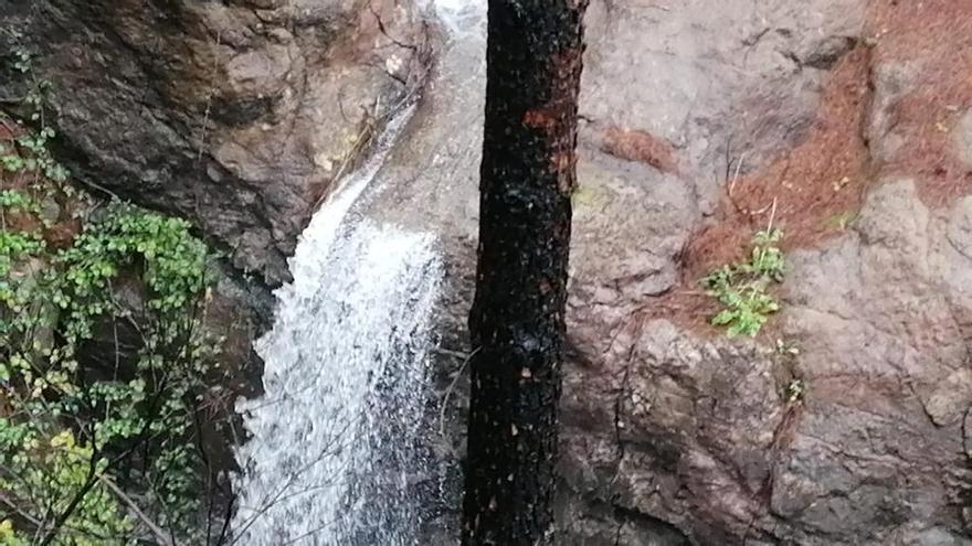 Los barrancos de Gran Canaria siguen corriendo este domingo