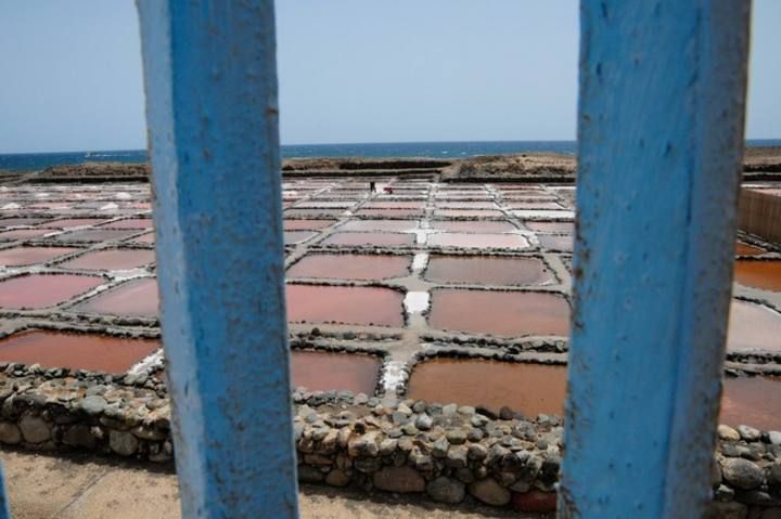 Reportaje en las Salinas de Tenefe en Pozo Izquierdo