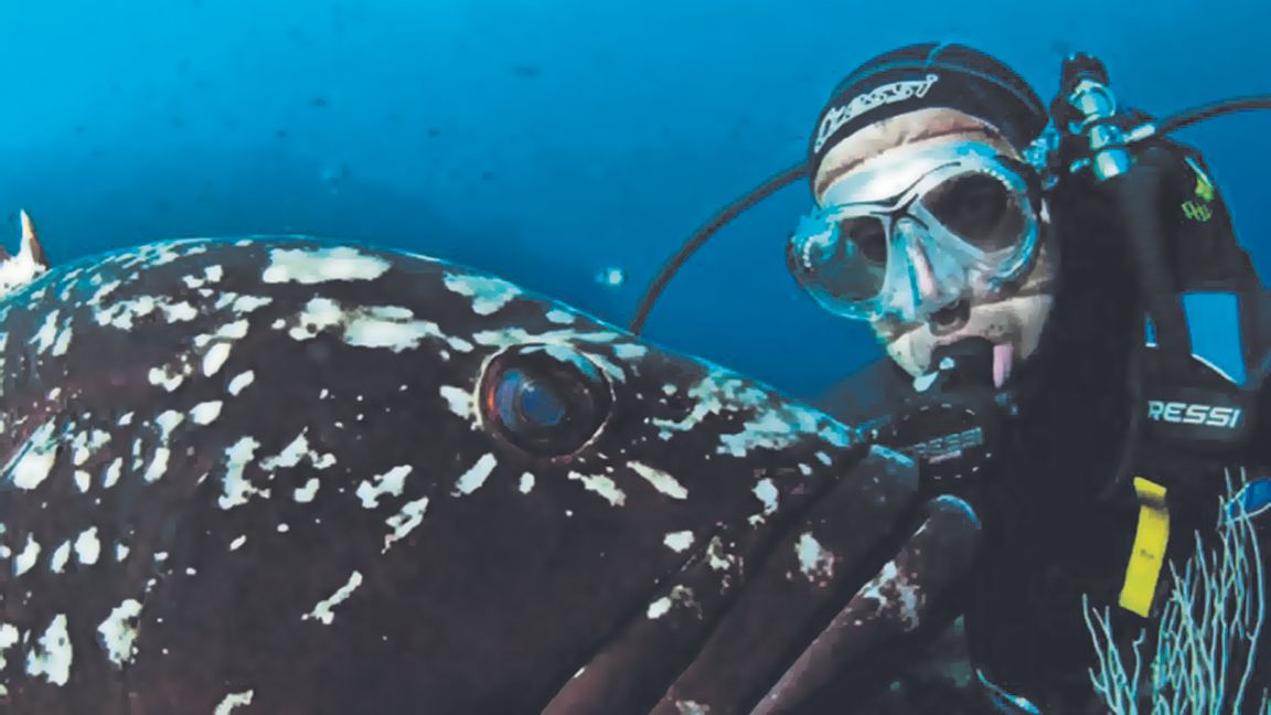 El biólogo marino español, Enric Sala que quiere salvar los océanos.