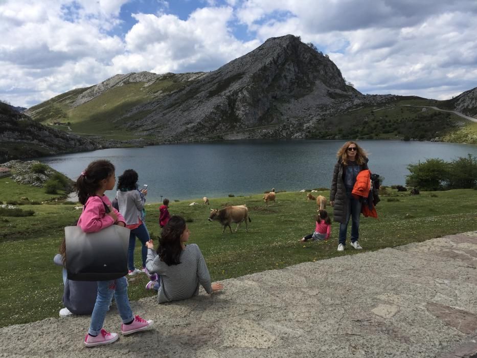 Turistas en los Lagos de Covadonga en el puente de mayo