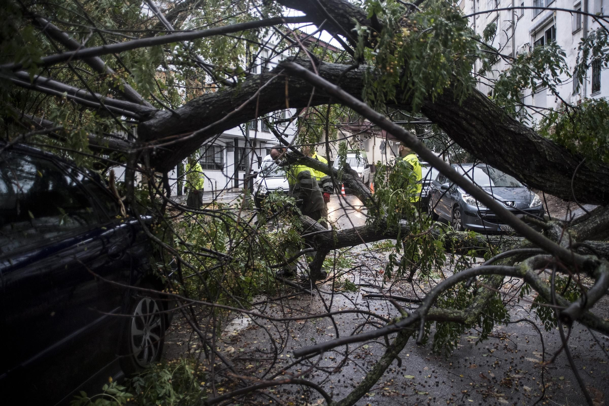 Fotogalería | Así afecta el temporal de lluvia y viento en Cáceres