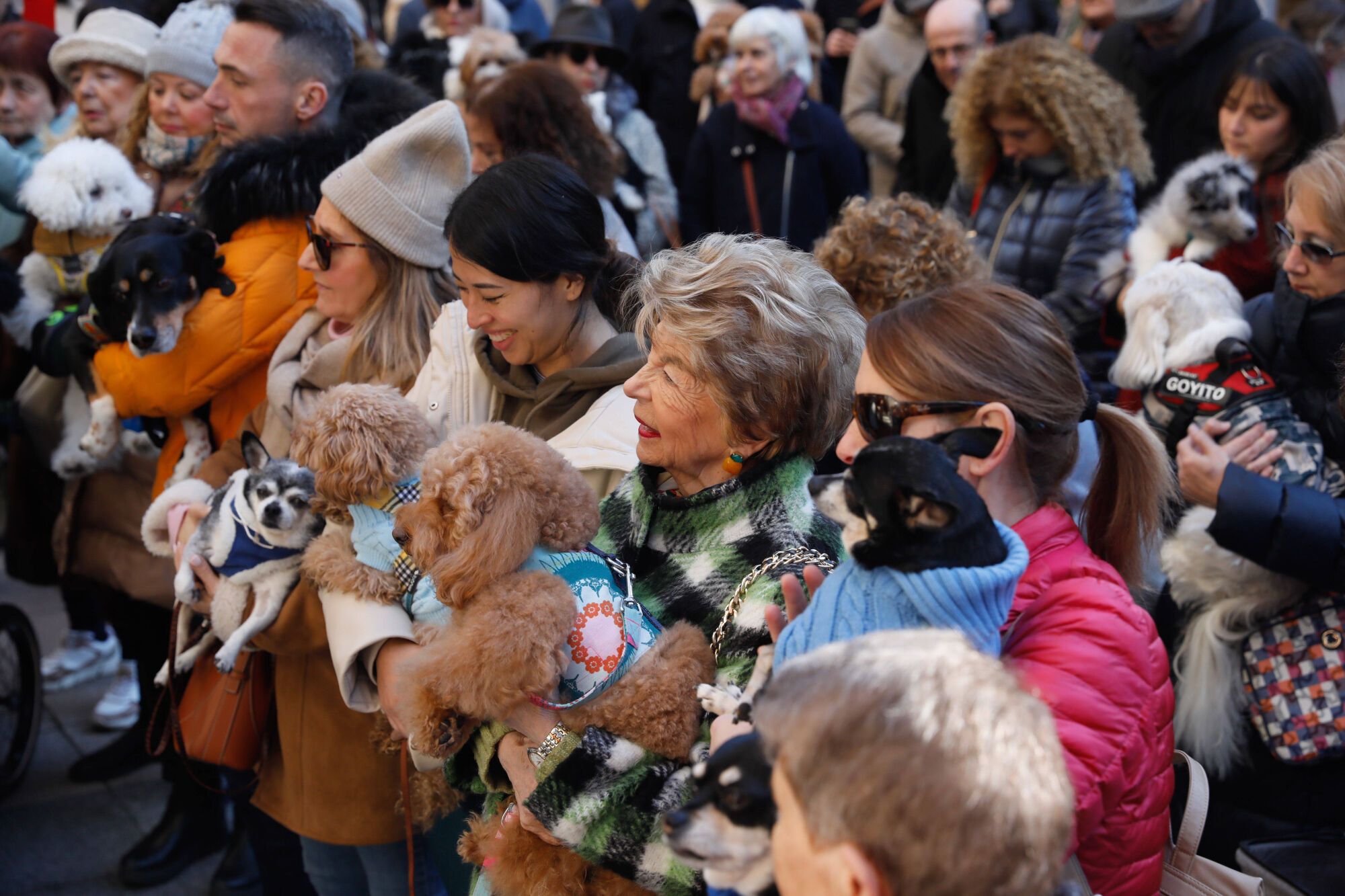EN IMÁGENES: Bendición de mascotas por San Antón en la basílica de San Juan de Oviedo