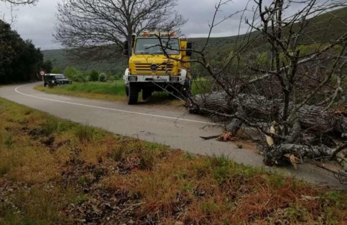 Las labores realizadas por agentes de la Junta han permitido recuperar el acceso a Riomanzanas.