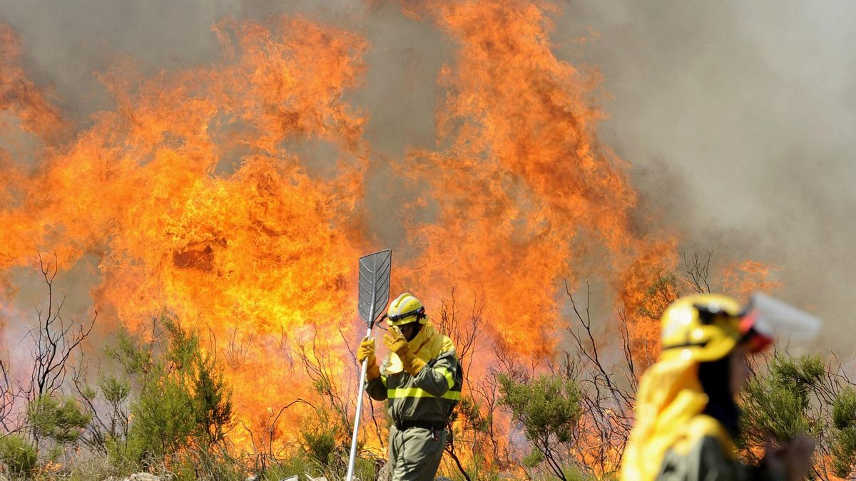 Bomberos trabajan en un incendio, en una imagen de archivo