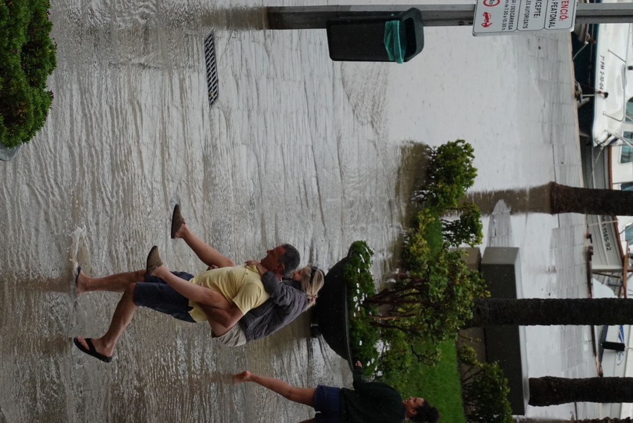 Una tormenta derriba una palmera y causa inundaciones en calles en Alcúdia