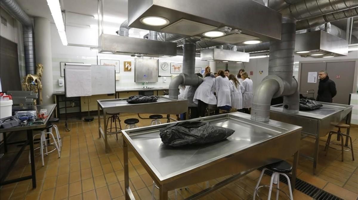 Una aula de pràctiques a la UAB. Una aula de pràctiques a la UAB.
