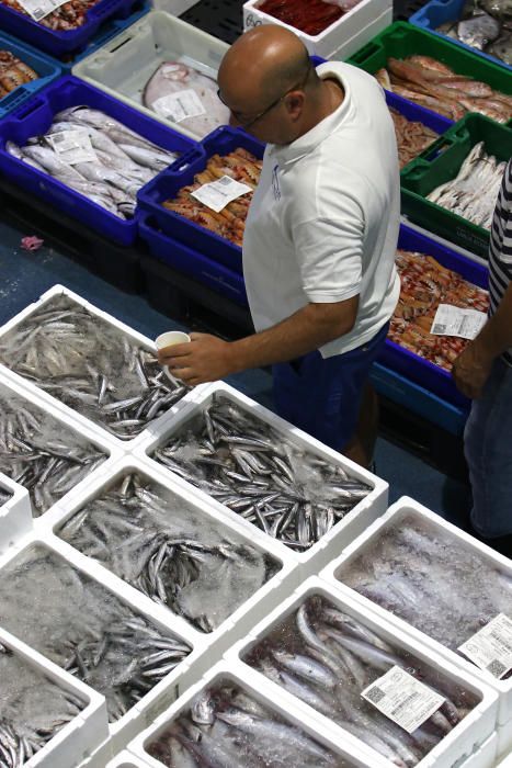 Así es un día de trabajo en la pescadería de Mercamálaga