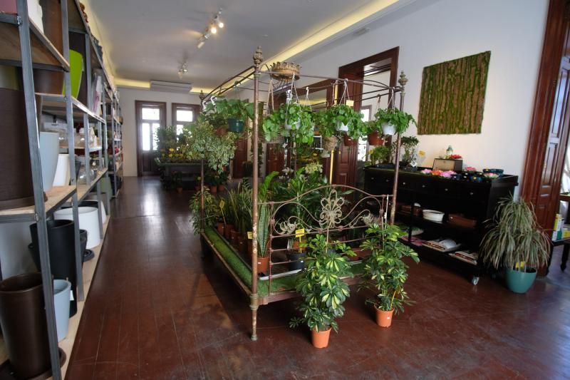 El Churchill reconvertido en tienda de plantas