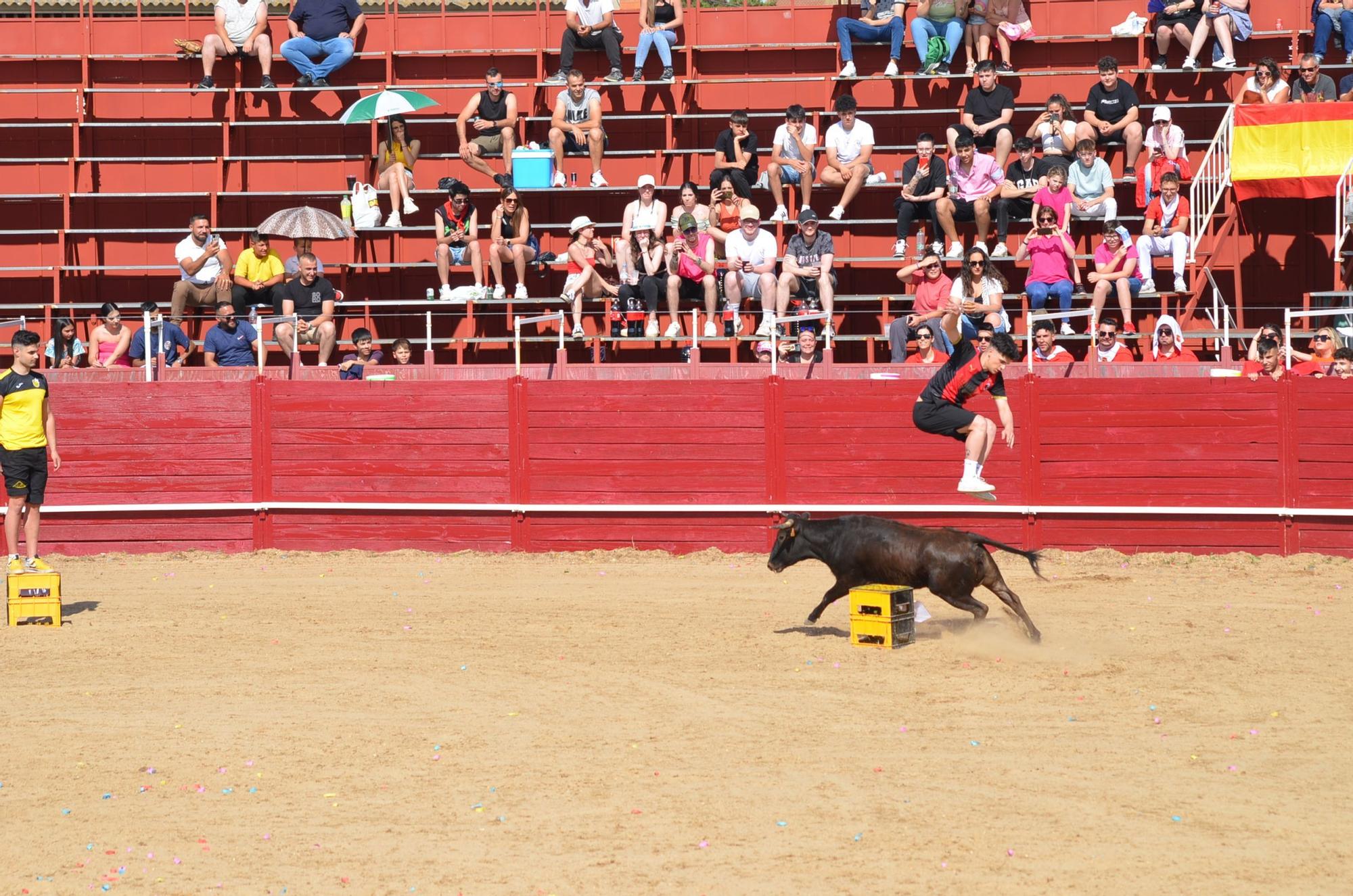 Fiestas del Toro en Benavente: Las mejores imágenes del "Juego de la NTE"