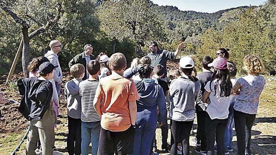 Los alumnos del CEIP Son Caliu participaron en la iniciativa.