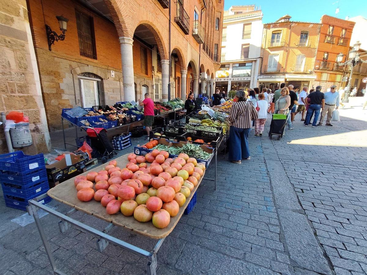 GALERÍA | El mercado de frutas y verduras de Benavente, en imágenes
