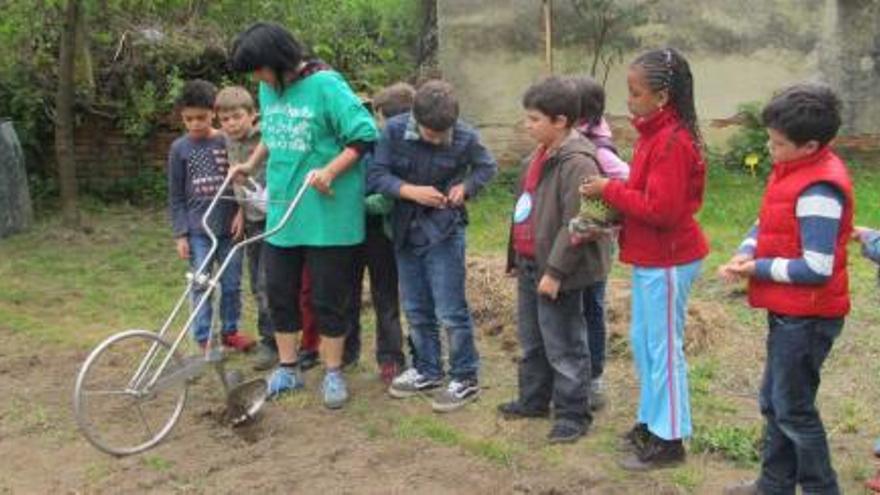 Carmen González muestra a los estudiantes cómo manejar la azada de rueda.