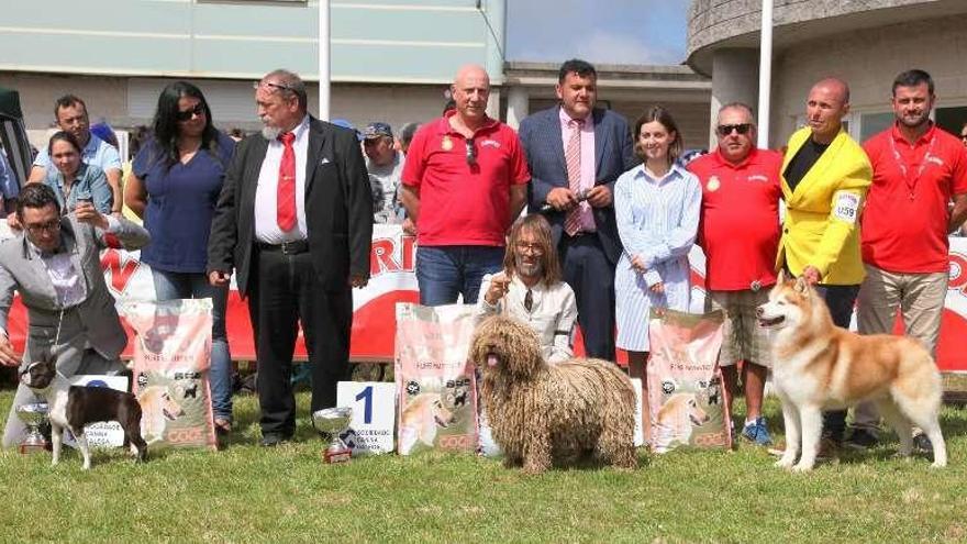 Ganadores del XIV Concurso Nacional Canino de Belleza celebrado el año pasado en la Semana Verde.