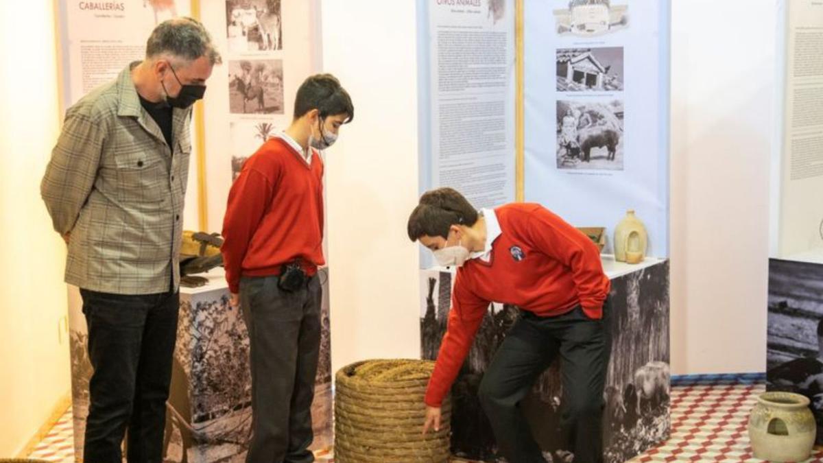 El Proyecto Puçol inaugura la nueva exposición temporal «Queridos animales»