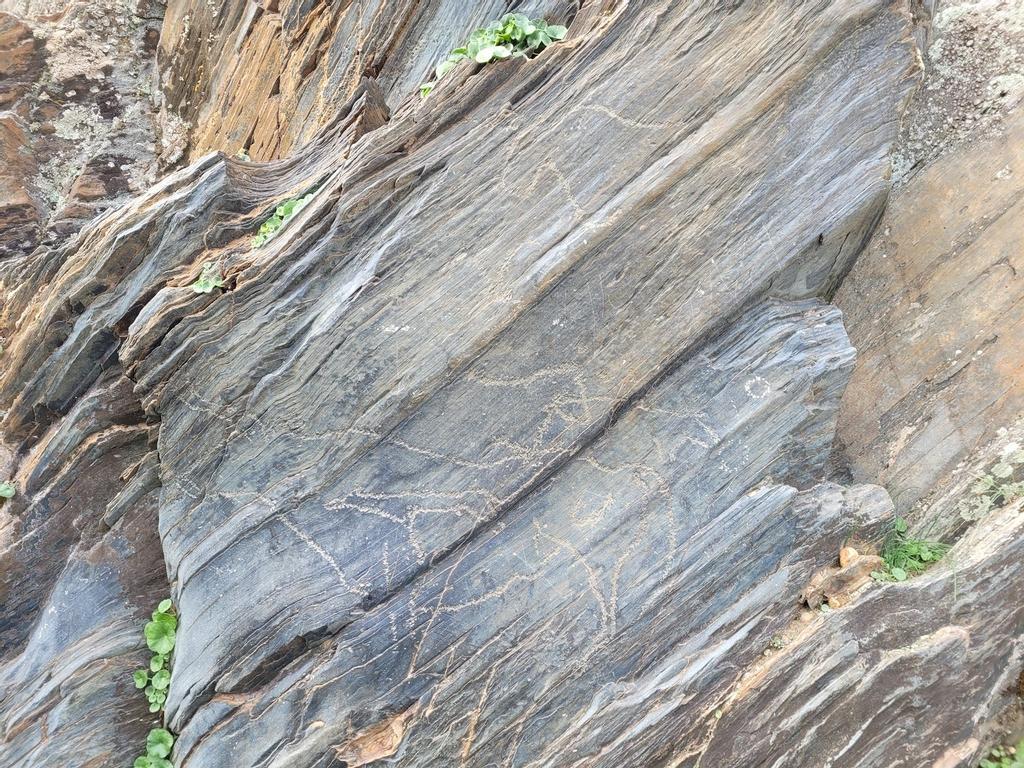 Grabado en Siega Verde 