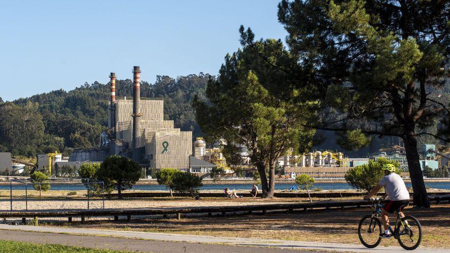 Fábrica de Ence en Lourizán