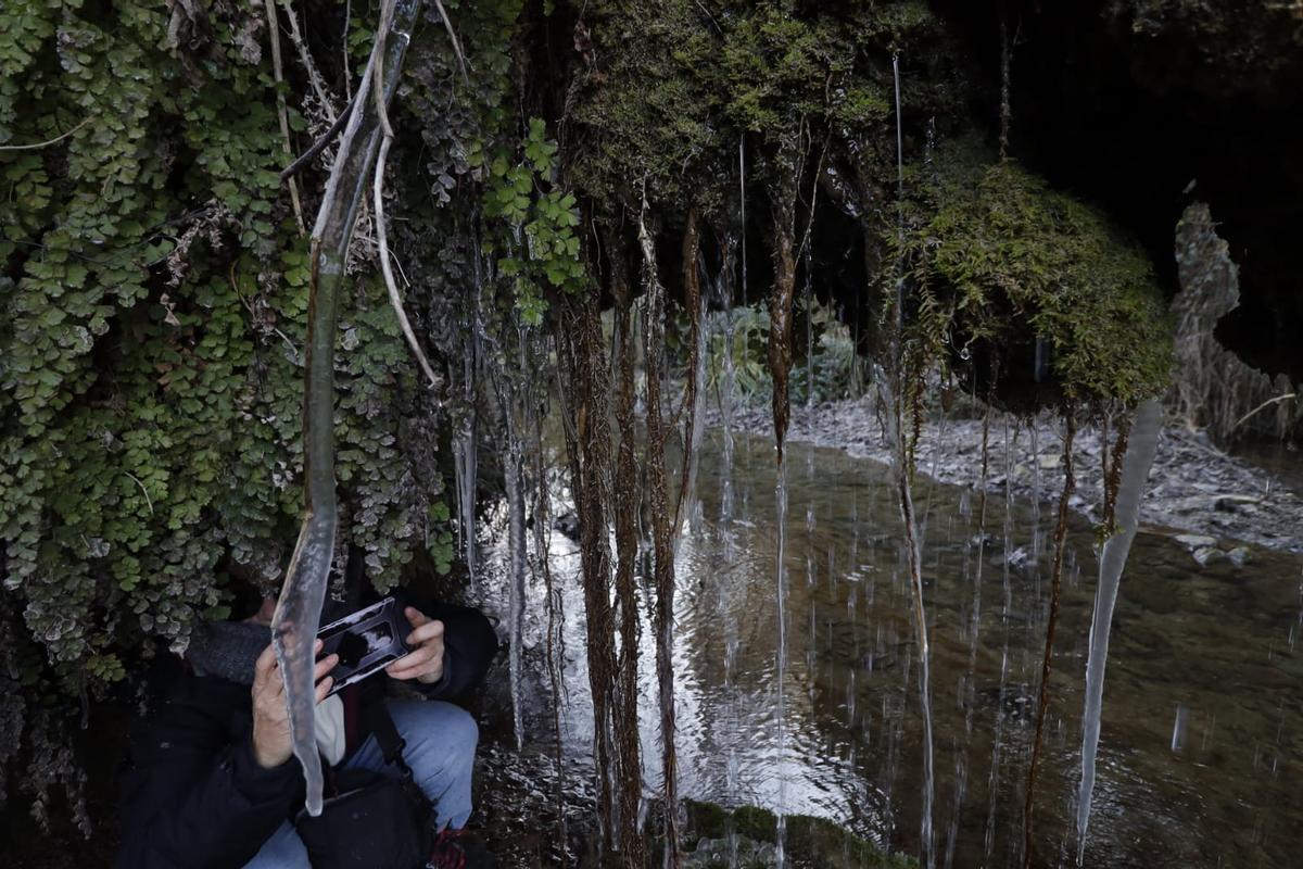 Mañana de frío y hielo en la sierra de Mariola Mañana de frío y hielo en la sierra de Mariola