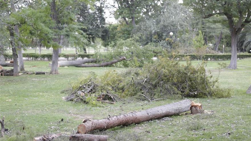 El parque Tío Jorge de Zaragoza se reabrirá al público mañana