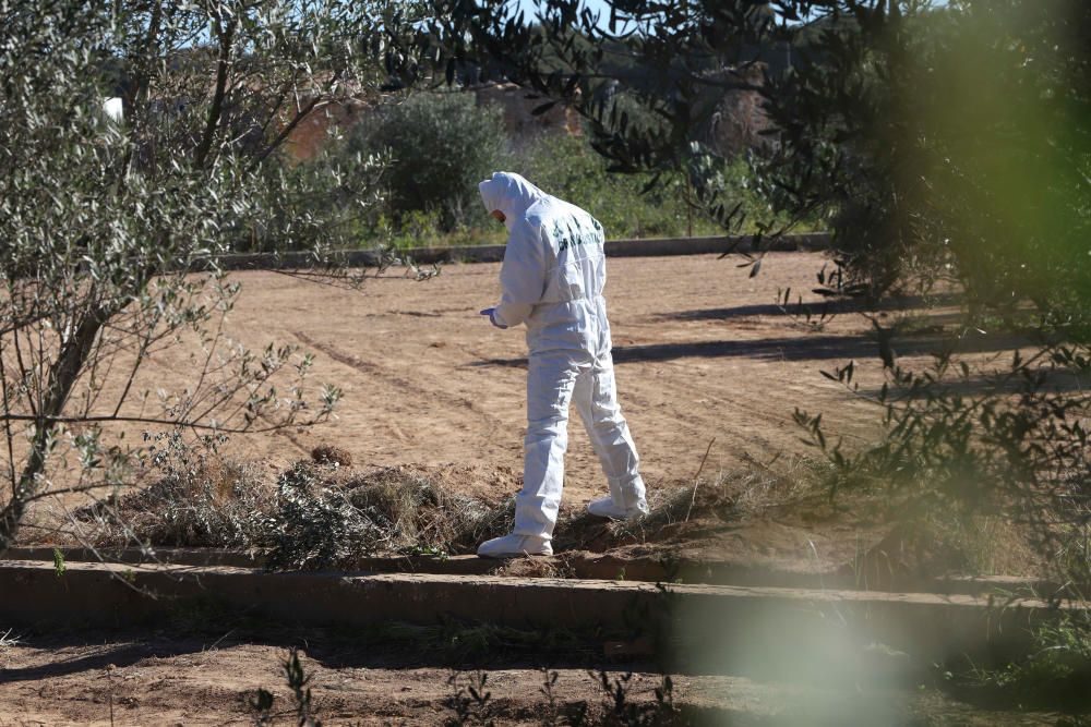 La Policía Científica analiza la caseta donde vivían los niños y el terreno donde estaban enterrados.