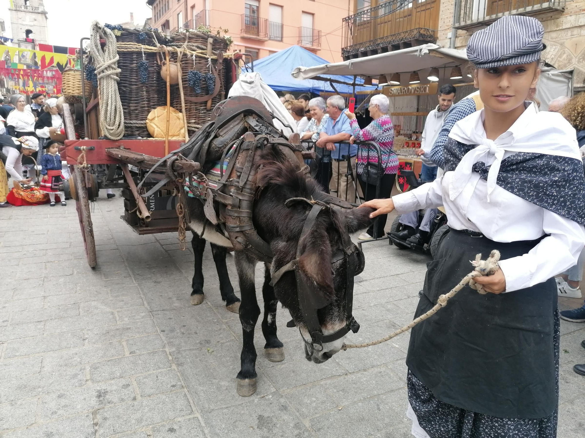 GALERÍA | Toro recrea la vendimia tradicional en el desfile de carros