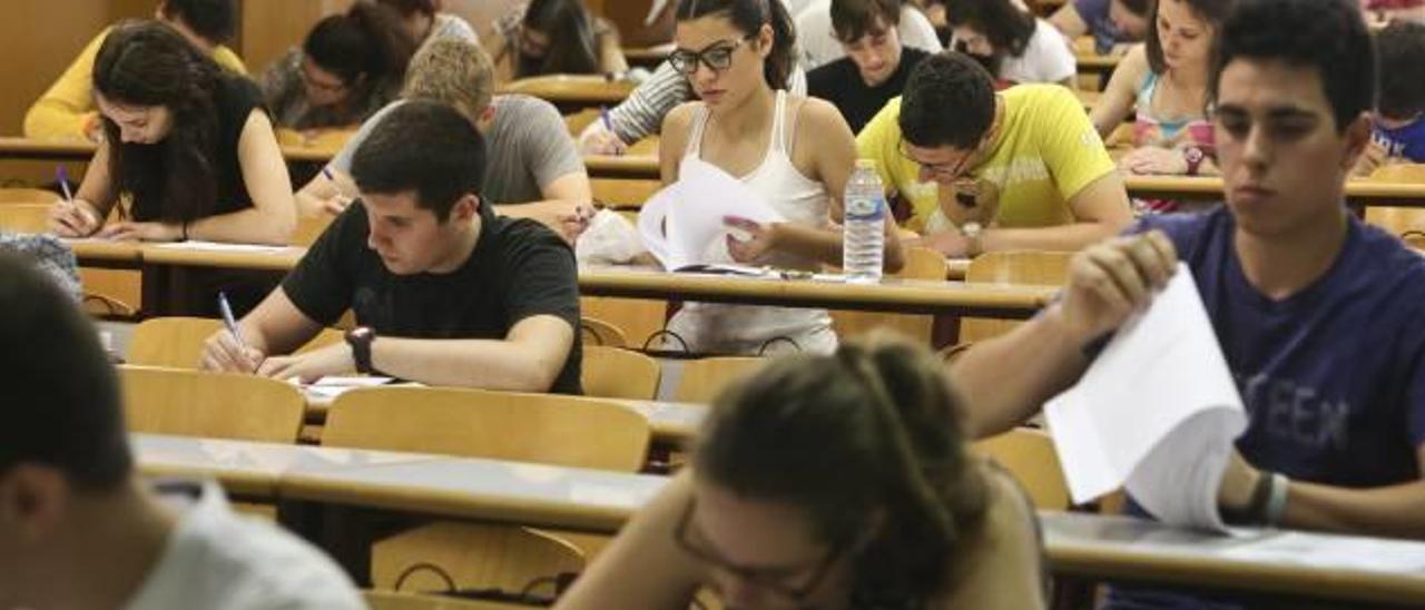 Estudiantes ante las pruebas de Selectividad el curso pasado en la Universidad de Alicante.
