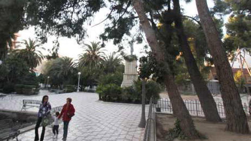 Árboles de la plaza Castelar de Elda.
