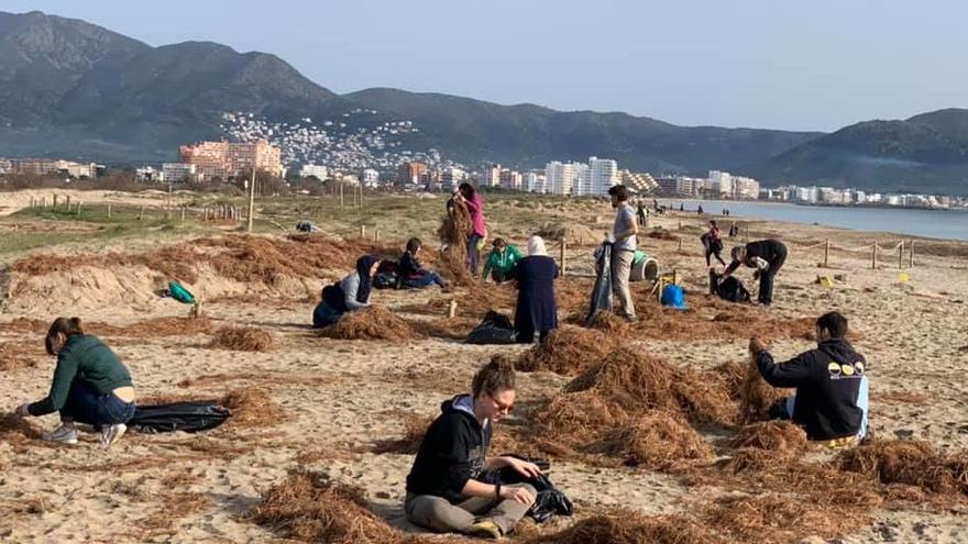 Voluntaris a Castelló d&#039;Empúries netejant la platja natural de la Rubina, aquesta setmana