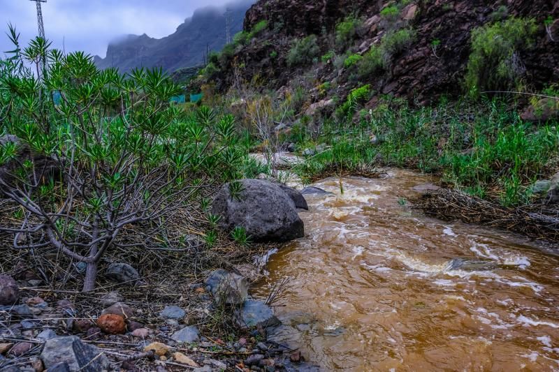 'Filomena' continúa dejando lluvias y llenando presas este jueves en Gran Canaria