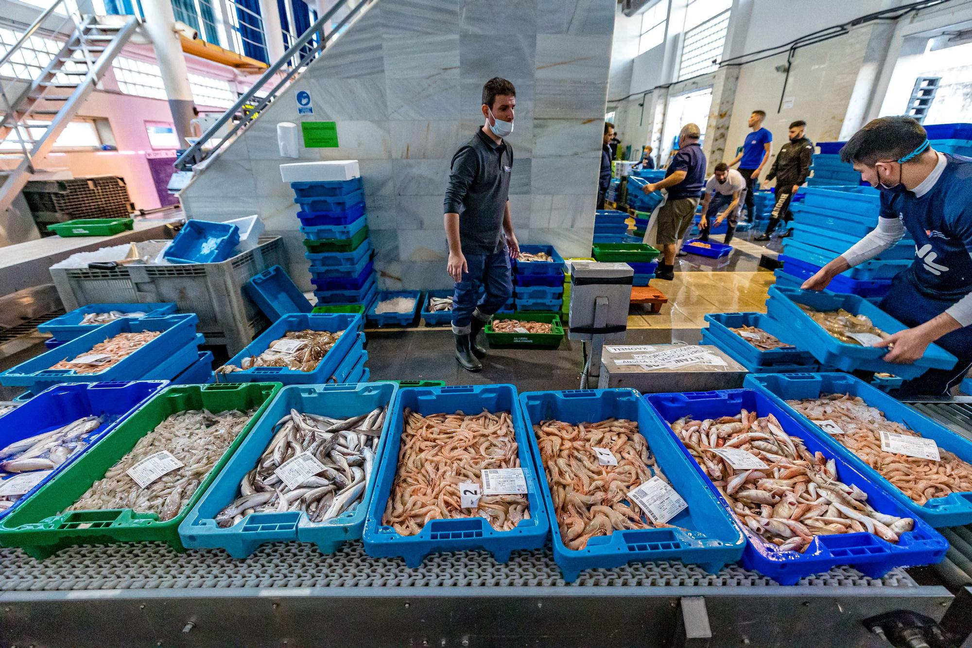 Pesca y Turismo en Villajoyosa