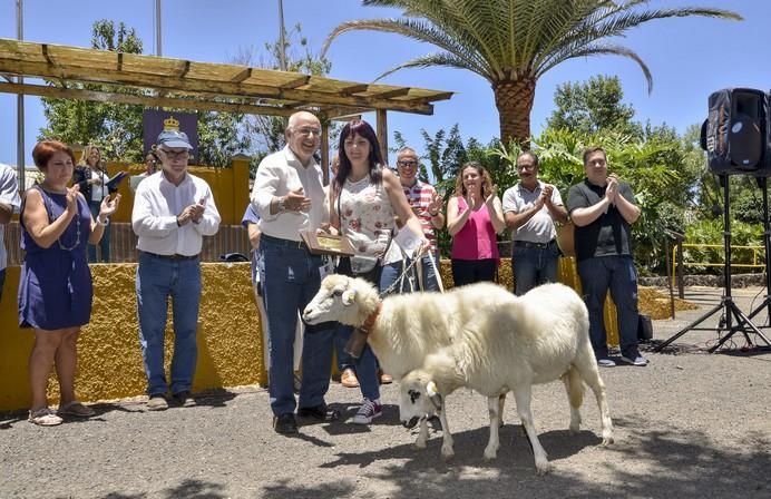 ARUCAS GRAN CANARIA A 28/05/2017 Entrega de premios concurso de ganado del Cabildo de Gran Canaria. FOTO: J.PÉREZ CURBELO