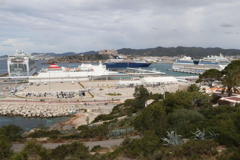 Los cruceros ´Ventura´, ´Zenith´ y ´Aida Stella´, ayer, con el ferry ´J. J. Sister´ en medio, en los pantalanes de es Botafoc